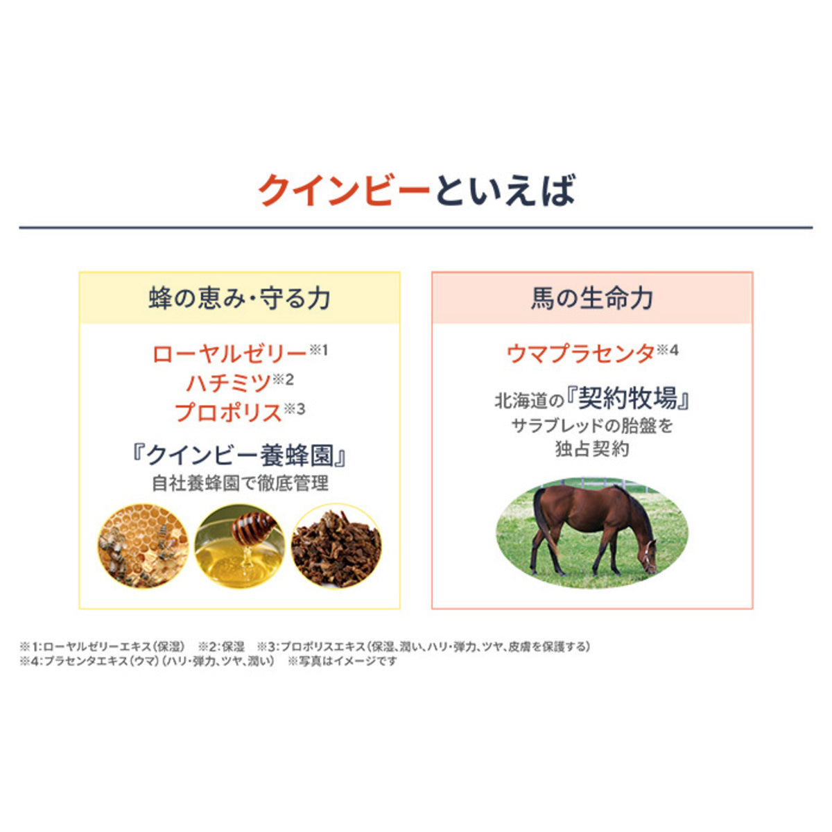 マッサージソルト|ゆず 潤い続く角質ケア&保湿